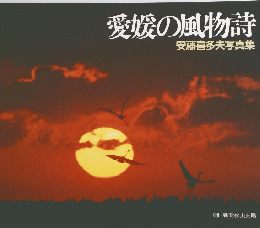 愛媛の風物詩