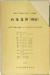 向原遺跡　(附図)