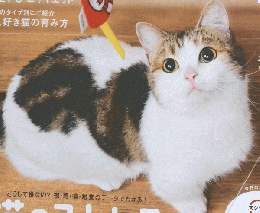 ねこのきもち 2017年10月号 vol.149