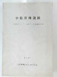 小松市林遺跡　1993