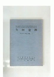矢田遺跡 平安時代住居跡編 (1)