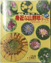 身近な山野草のすべて