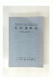矢田遺跡 III