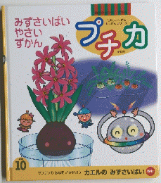 プチカ　1999年10月号