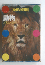 動物