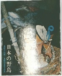 日本の野鳥