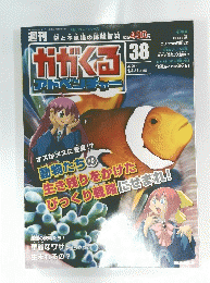 週刊かがくる　38　2009年1月号