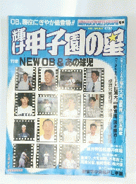 輝け甲子園の星1995年 summer 夏号　