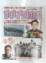 甲子園の星