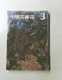 小原流花 3