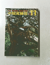 源流挿11