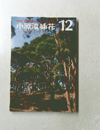 小原流花　1979年12月号