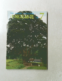 小原流棒花　1979年7月号