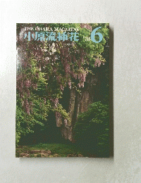小原流花　1978年6月号
