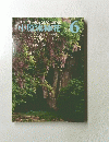 小原流花　1978年6月号