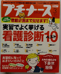 プチナース　2012/3