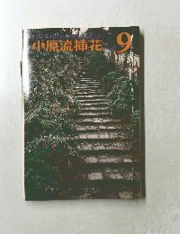 小原流花 1978年9月号