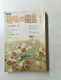 趣味の園芸 1　ミニカトレア