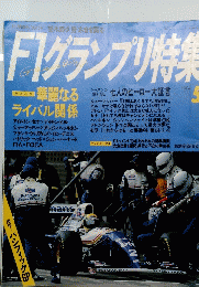 F1グランプリ特集　1994年5月号