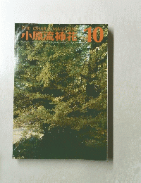 小原流挿茶　1979　10