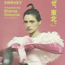 COMMERCIAL PHOTO 2018/9