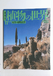 植物の世界　11　地球の植物世界