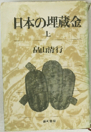 日本の埋蔵金 上