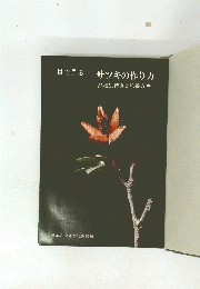 サツキの作り方 品種別特徴と培養方法