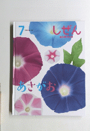 あさがお　しぜん７