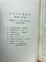 ビルマに征きて
