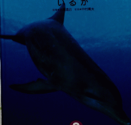 しぜん 8 いるか