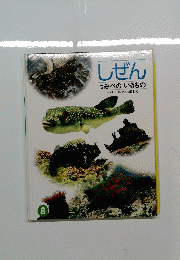しぜん 8月号　うみべのいきもの