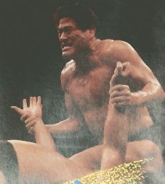新日本プロレスリング・マガジン　スペシャル　VOL.44