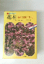四季の庭木 花木 観賞と栽培の仕方
