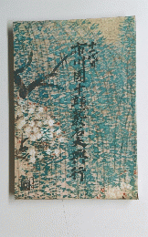 十一代目 市川團十郎襲名大
