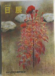 第9回 日展