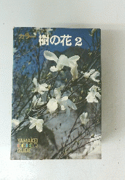 樹の花　2