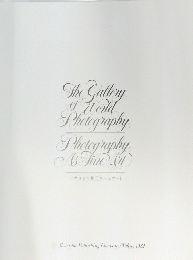 The Gallery World Photography