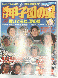 甲子園の星　１９９６年