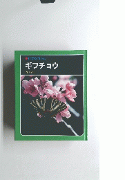 ギフチョウ