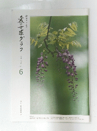 餃子グラフ 2011年6月