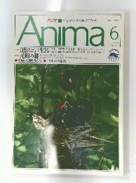 Anima 6 1992年 No. 237