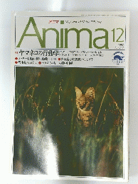 Anima　12　1992年　No.　２４３
