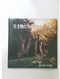 生き物たち光の中の活動