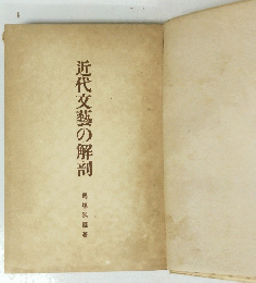 近代文藝の解剖