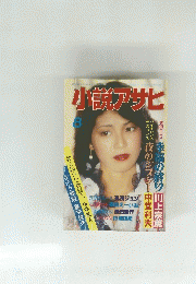 小説アサヒ　８