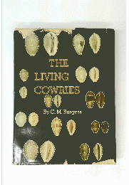 THE LIVING COWRIES
