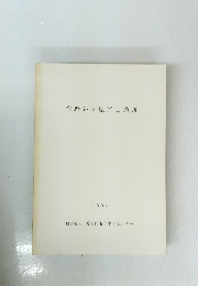 窪野谷大屋戸Ⅱ遺跡　1994