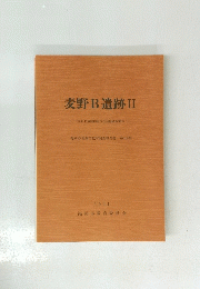 麦野B遺跡2