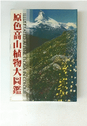 原色高山植物大圖鑑